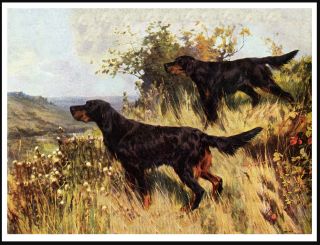 Gordon Setter Two Dogs At Work Vintage Style Dog Art Print Poster